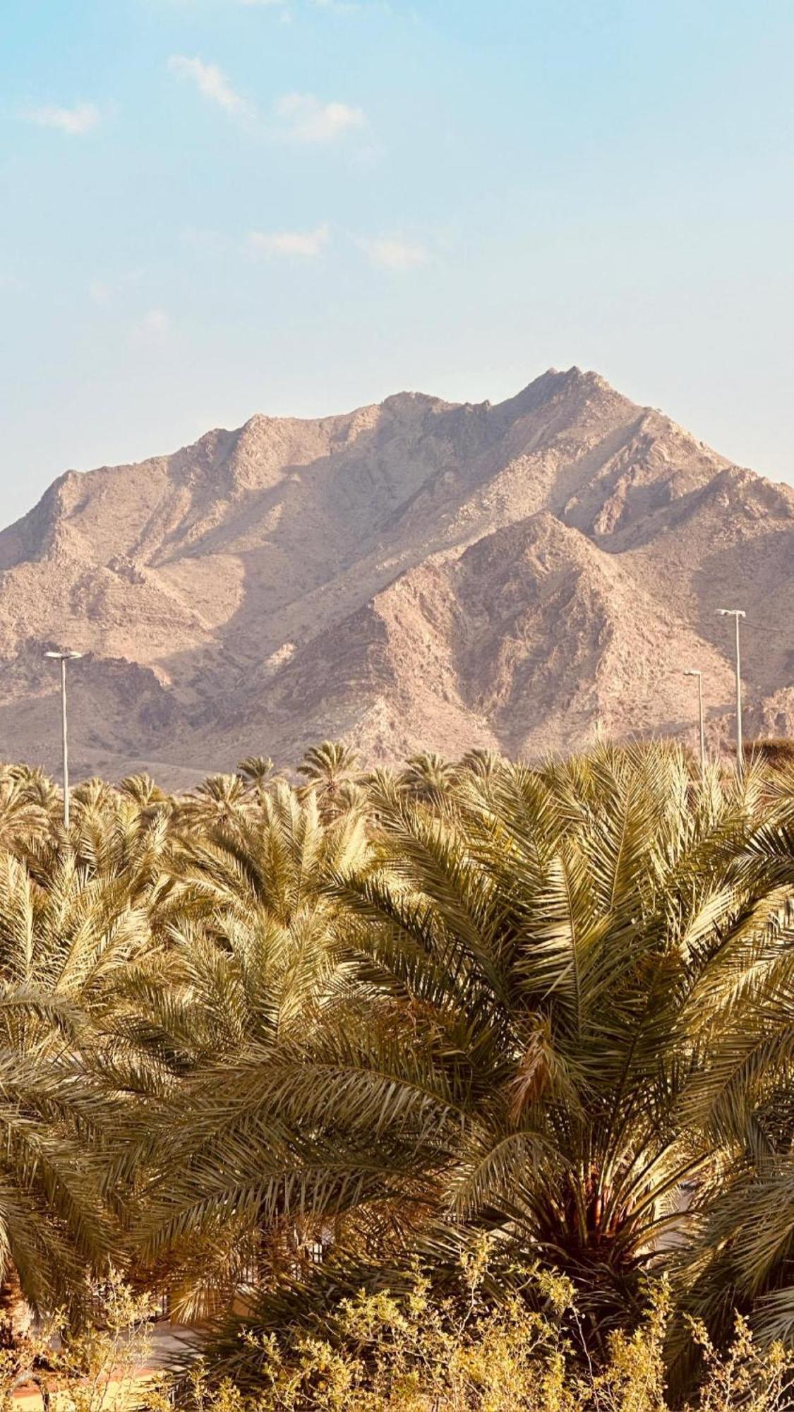 Hatta Retreat Private Pool Wadi Hub For Activities Esterno foto
